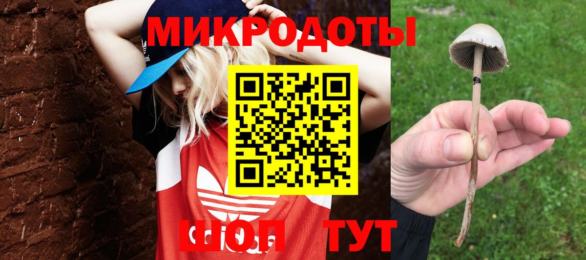 Гатчина  Псилоцибиновые грибы мухоморы  Вход с VPN 